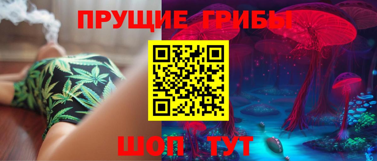Псилоцибиновые грибы Psilocybe  Галлюциногенные грибы мицелий  Лесной  Вход с VPN 